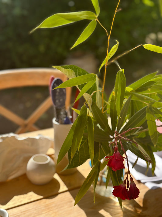 Une Collaboration Artistique et Culinaire : Potri.fr et Nadia Sammut Réinventent la Table
