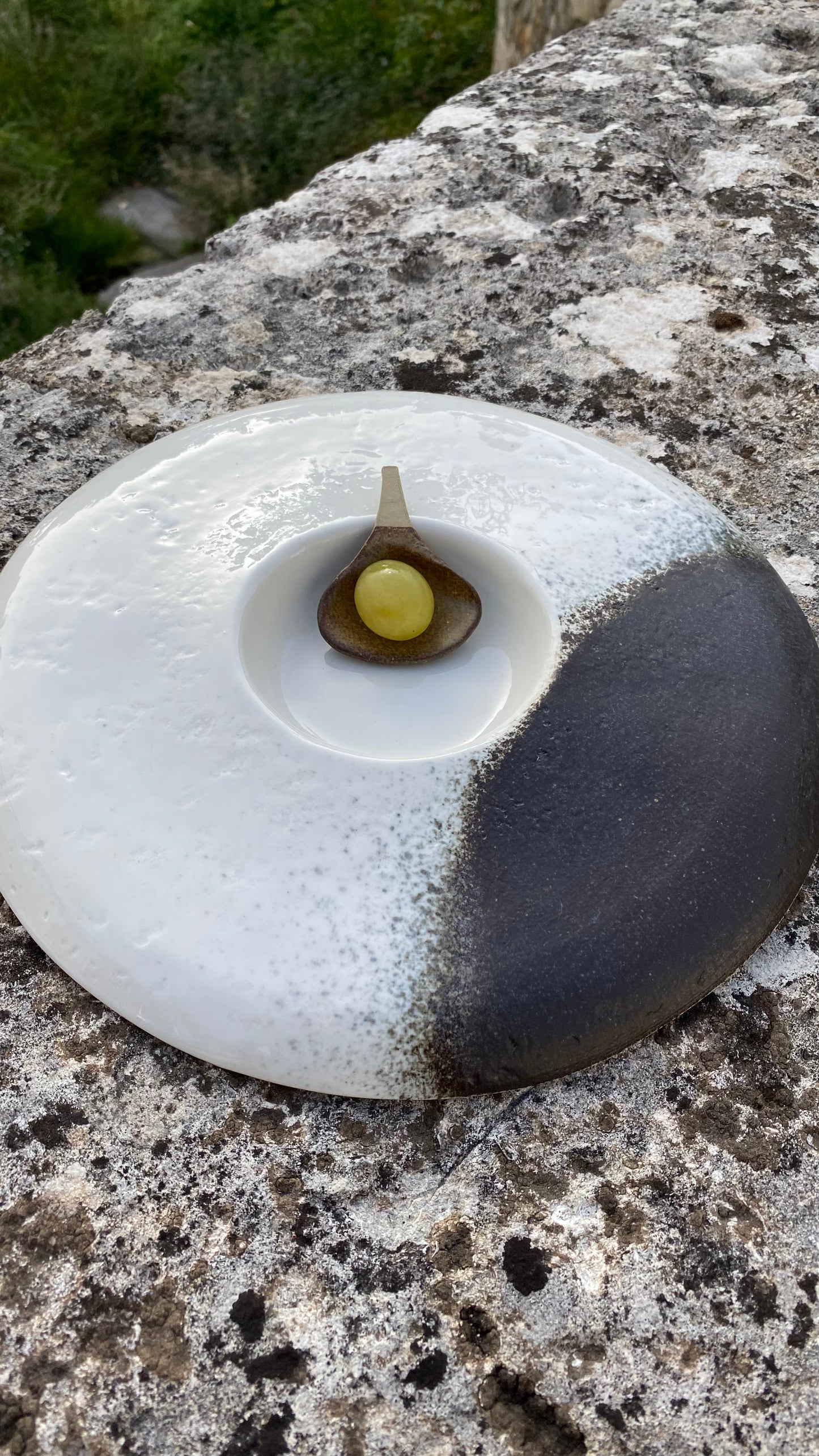 Cuillère à déguster.